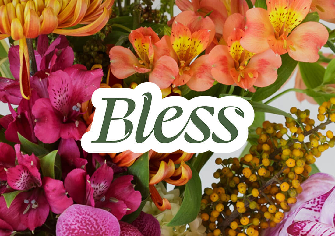 Imagem de flores diversas com logo Bless sobre a imagem